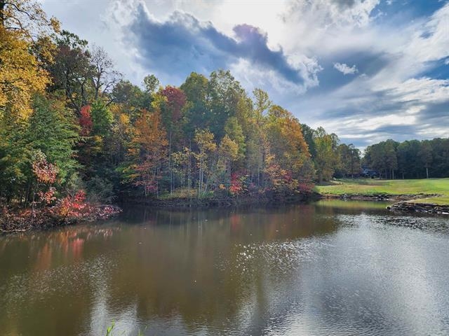 0 Glassy Ridge Road Landrum, SC 29356 - Photo 4 of 14 Gallery Image 4