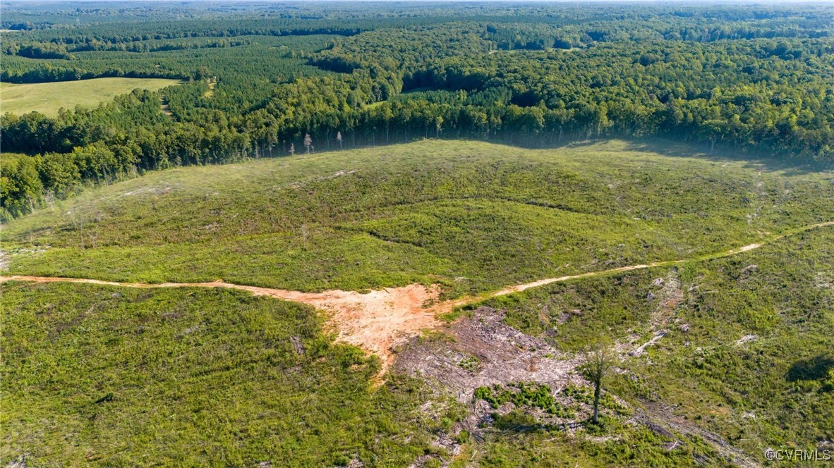 3684 Cedar Plains Road Sandy Hook, VA 23153 - Photo 13 of 21 Birds eye view of property