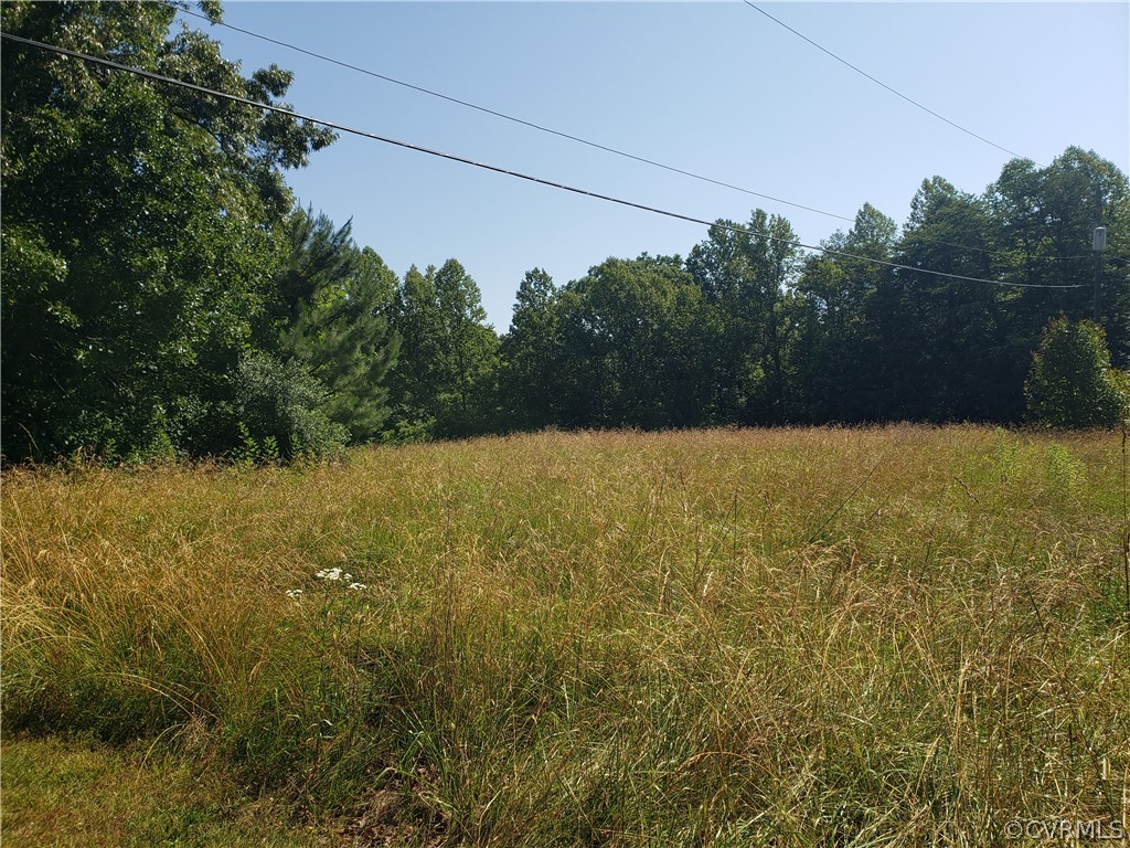 3684 Cedar Plains Road Sandy Hook, VA 23153 - Photo 17 of 21 View of nature