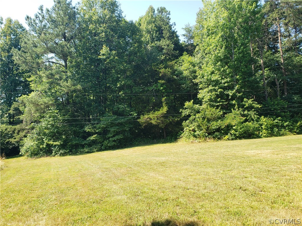 3684 Cedar Plains Road Sandy Hook, VA 23153 - Photo 18 of 21 View of yard