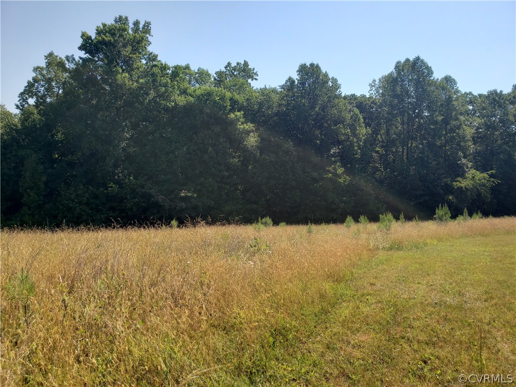 3684 Cedar Plains Road Sandy Hook, VA 23153 - Photo 19 of 21 View of nature