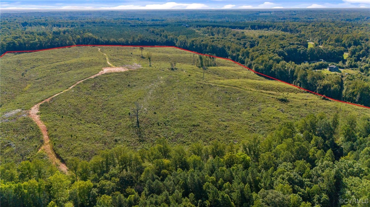 3684 Cedar Plains Road Sandy Hook, VA 23153 - Photo 2 of 21 Drone / aerial view