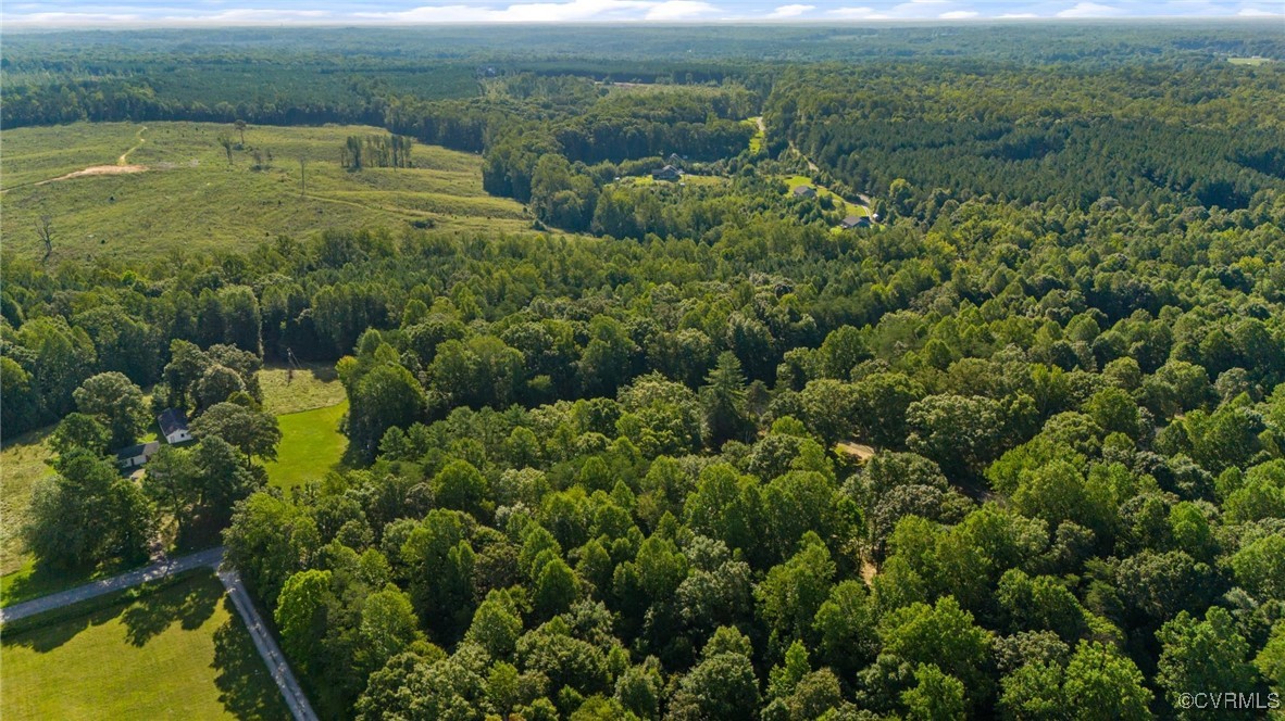 3684 Cedar Plains Road Sandy Hook, VA 23153 - Photo 4 of 21 Bird's eye view