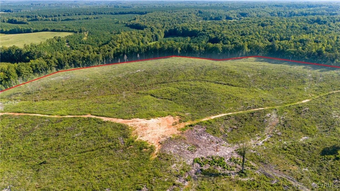 3684 Cedar Plains Road Sandy Hook, VA 23153 - Photo 8 of 21 Drone / aerial view