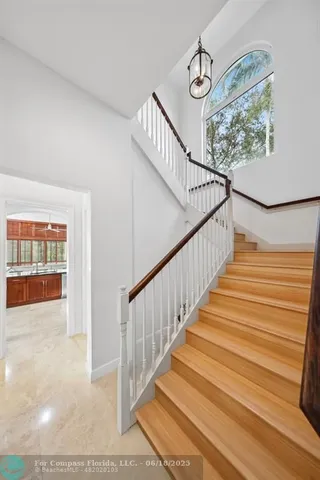 a sidewalk with a palm trees