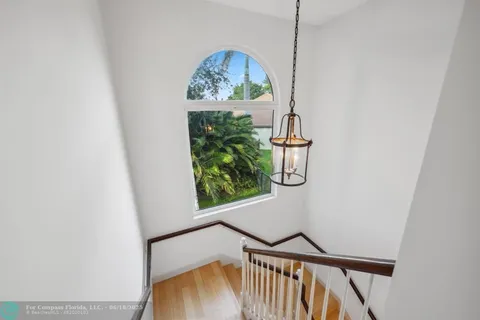 a view of a plant in a garden