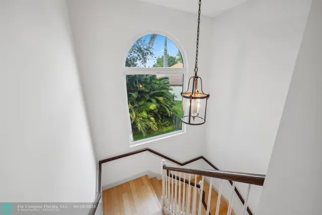 a view of a plant in a garden