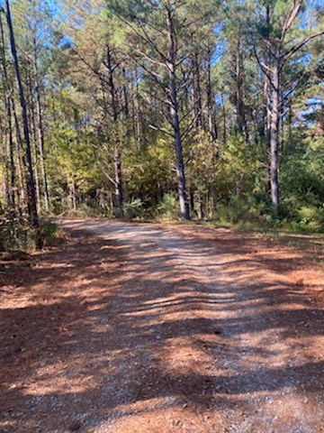 1230 Middleton Road Dothan, AL 36301 - Photo 3 of 21