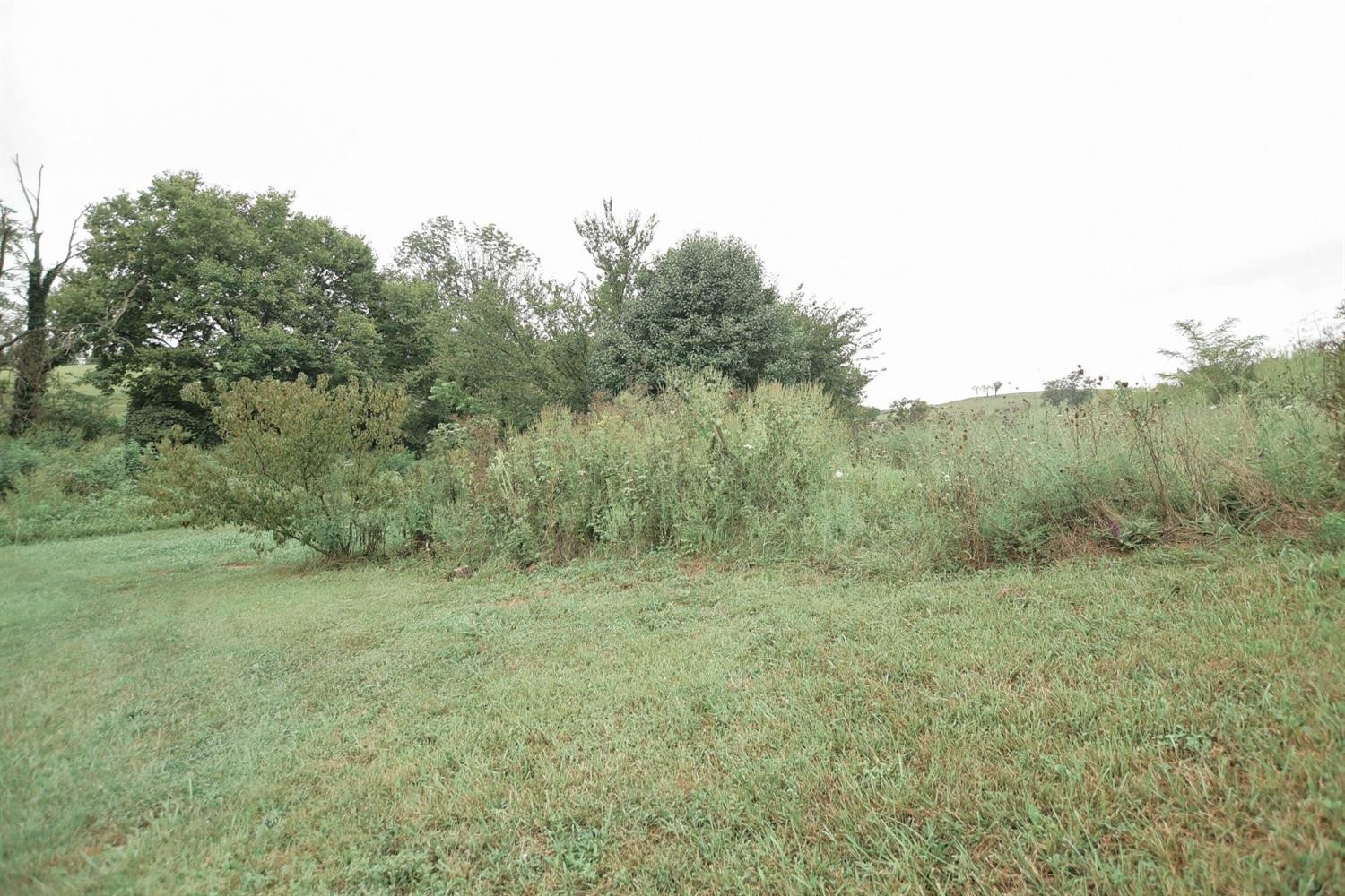 1056 Saltwell Road Owingsville, KY 40360 - Photo 14 of 15 Listing Photo