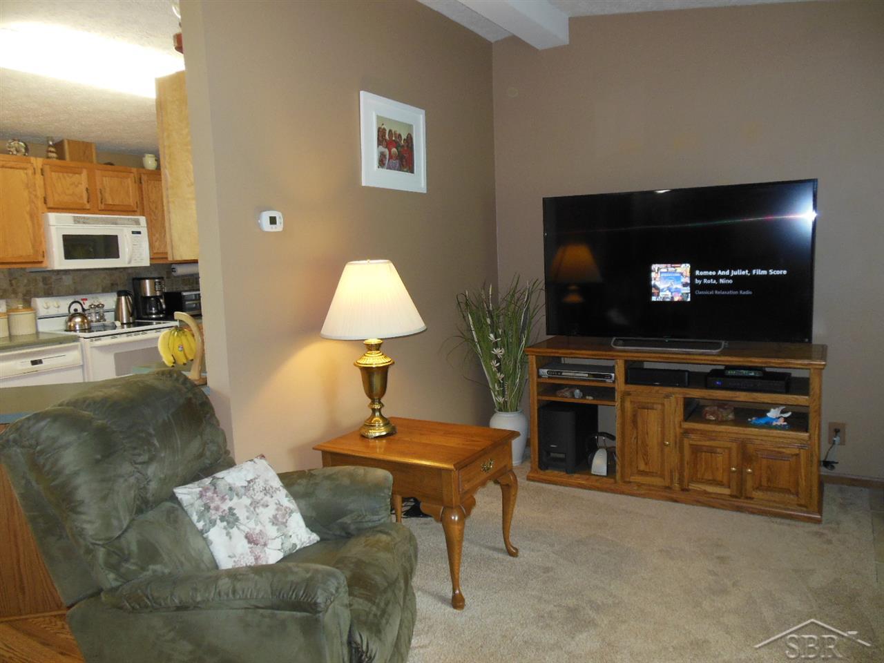 19654 West Burt Road Brant, MI 48614 - Photo 10 of 30 31292610-9.JPG