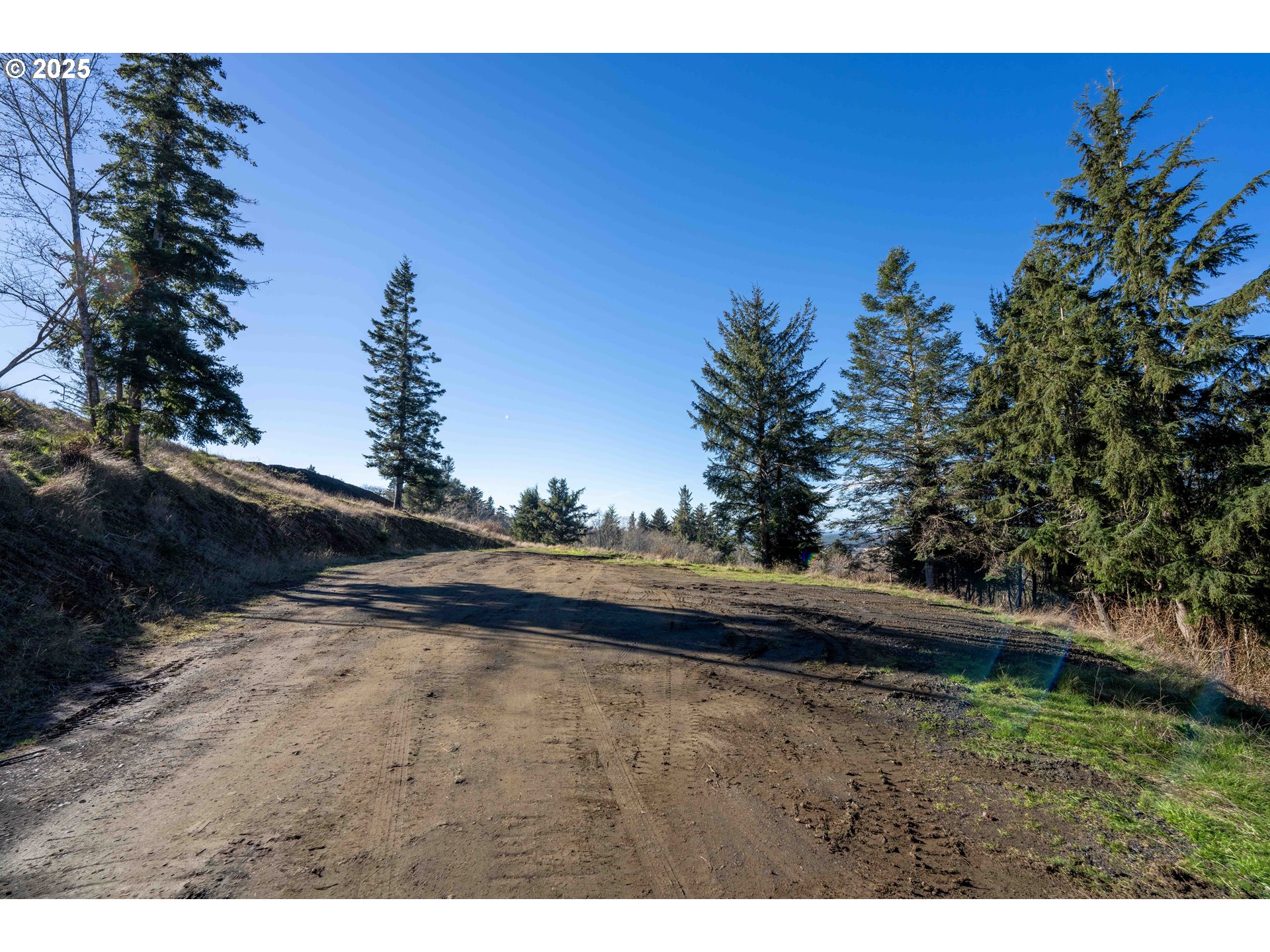 Fiddle Back Road, Unit 3705 North Bend, OR 97459 - Photo 7 of 23 a view of a yard with an outdoor space