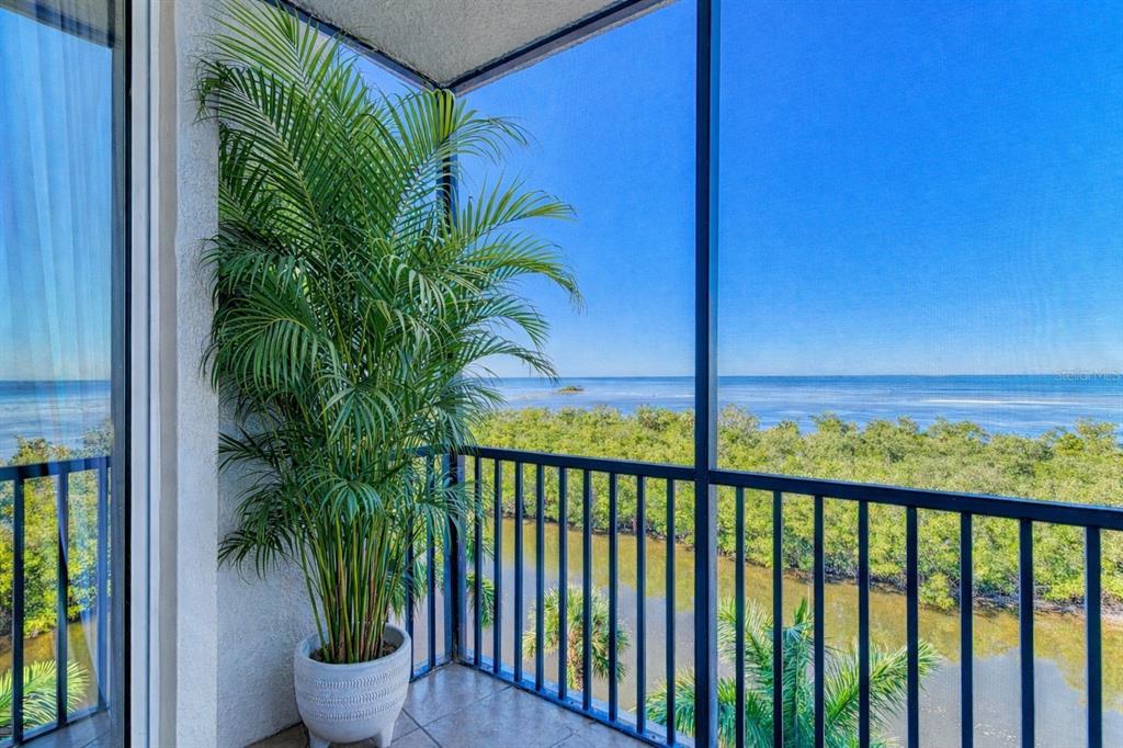 3329 Sunset Key Circle, Unit 407 Punta Gorda, FL 33955 - Photo 43 of 68 a view of a balcony with a potted plant and floor to ceiling window