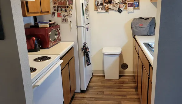 a view of a yard with an outdoor space