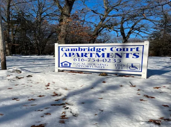 a view of road with trees