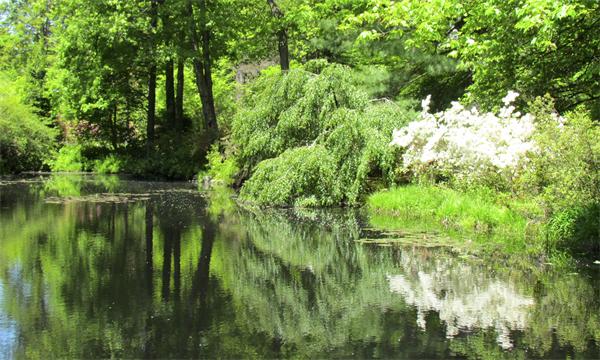 46 Lawson Road Winchester, MA 01890 - Photo 26 of 30