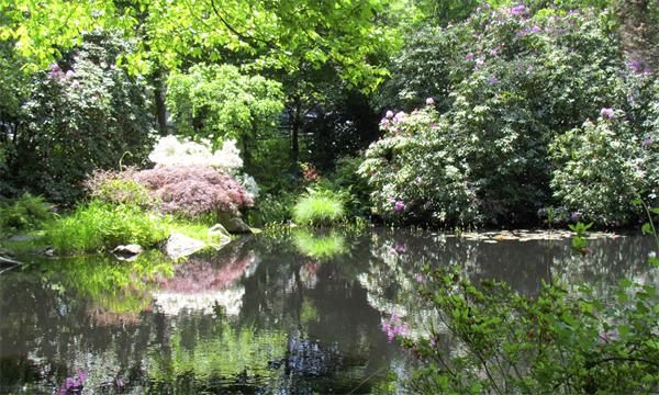 46 Lawson Road Winchester, MA 01890 - Photo 27 of 30