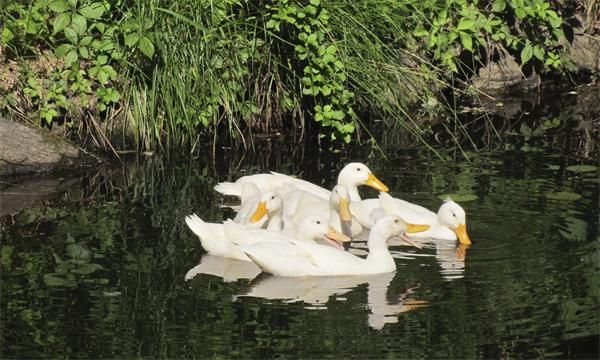 46 Lawson Road Winchester, MA 01890 - Photo 29 of 30