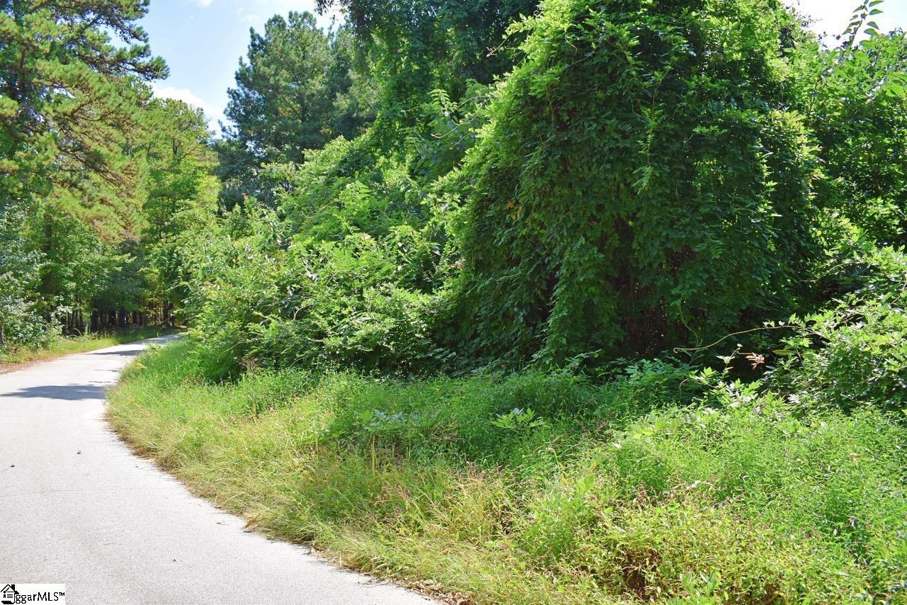 0 Hammett Grove Road Spartanburg, SC 29307 - Photo 11 of 15