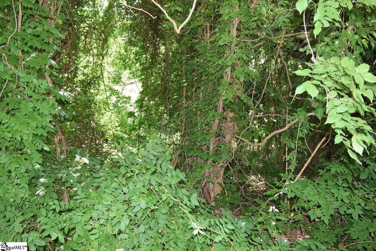 0 Hammett Grove Road Spartanburg, SC 29307 - Photo 12 of 15