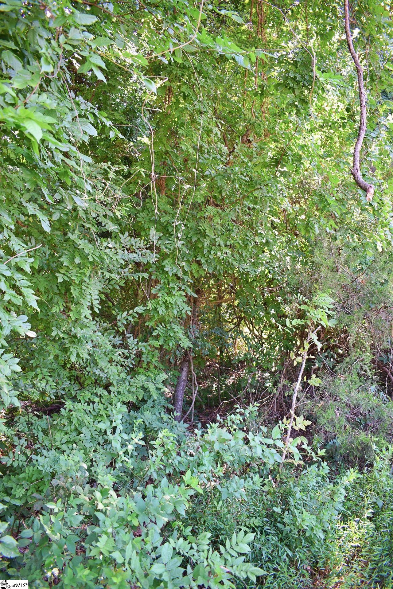 0 Hammett Grove Road Spartanburg, SC 29307 - Photo 13 of 15