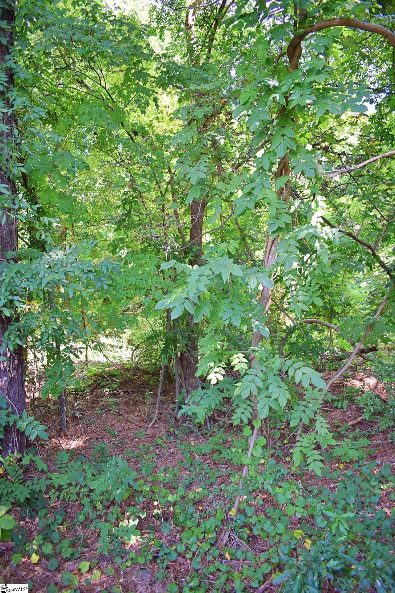 0 Hammett Grove Road Spartanburg, SC 29307 - Photo 2 of 15