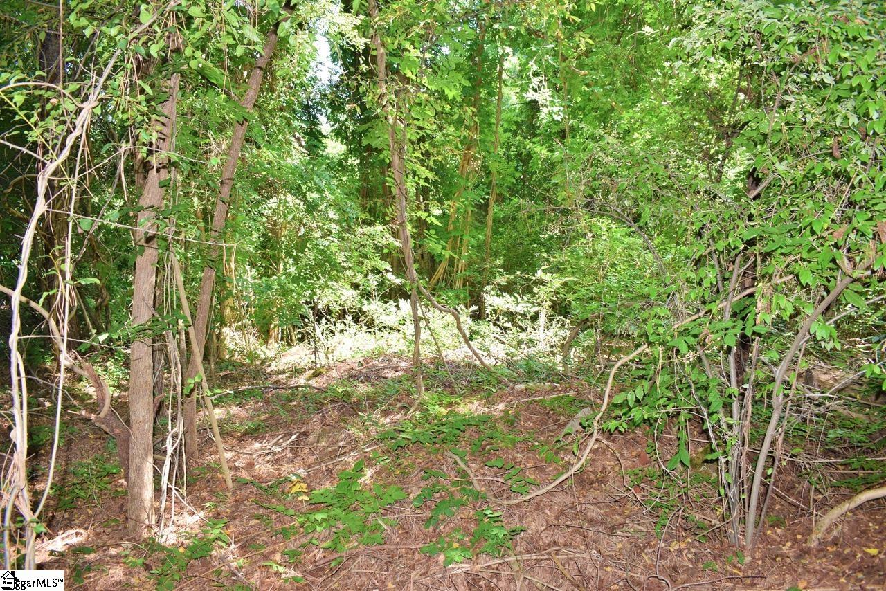 0 Hammett Grove Road Spartanburg, SC 29307 - Photo 3 of 15