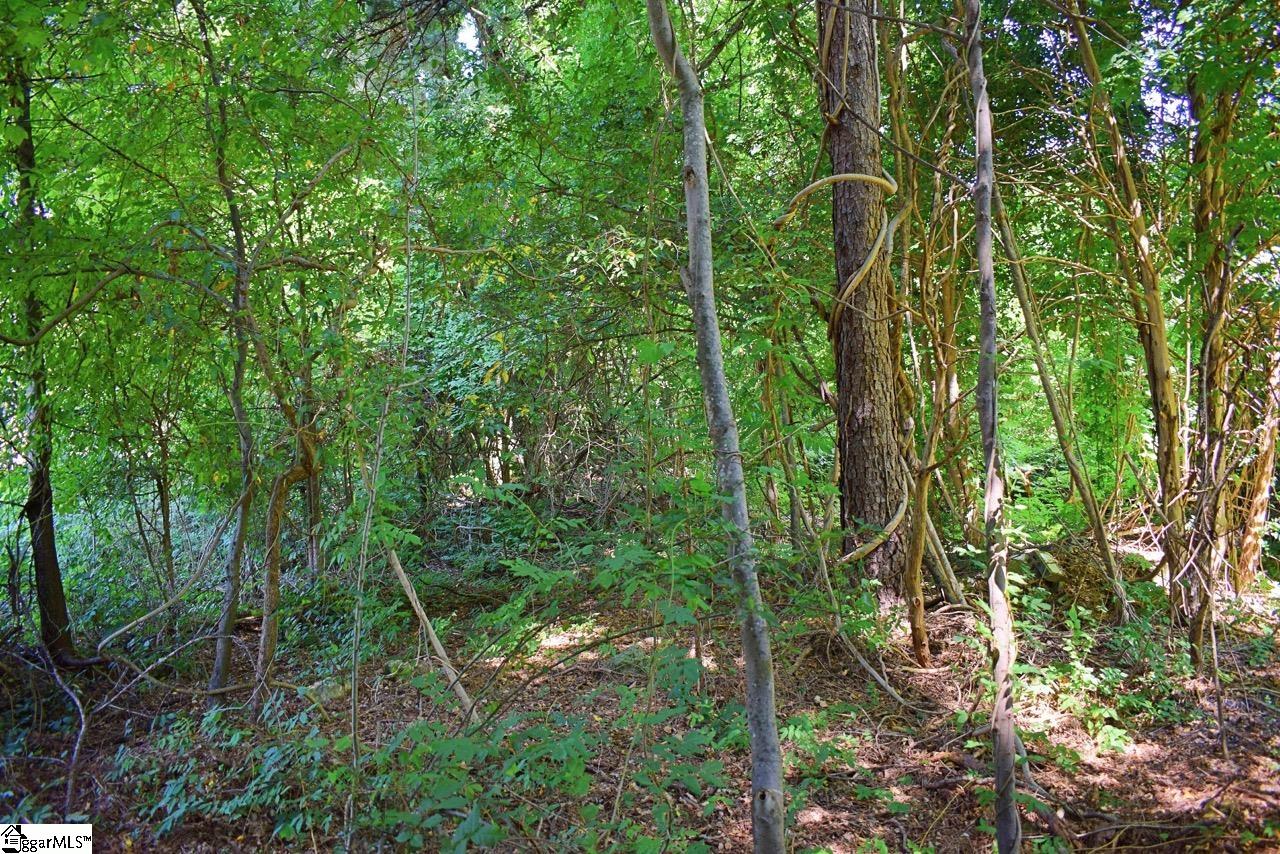 0 Hammett Grove Road Spartanburg, SC 29307 - Photo 4 of 15