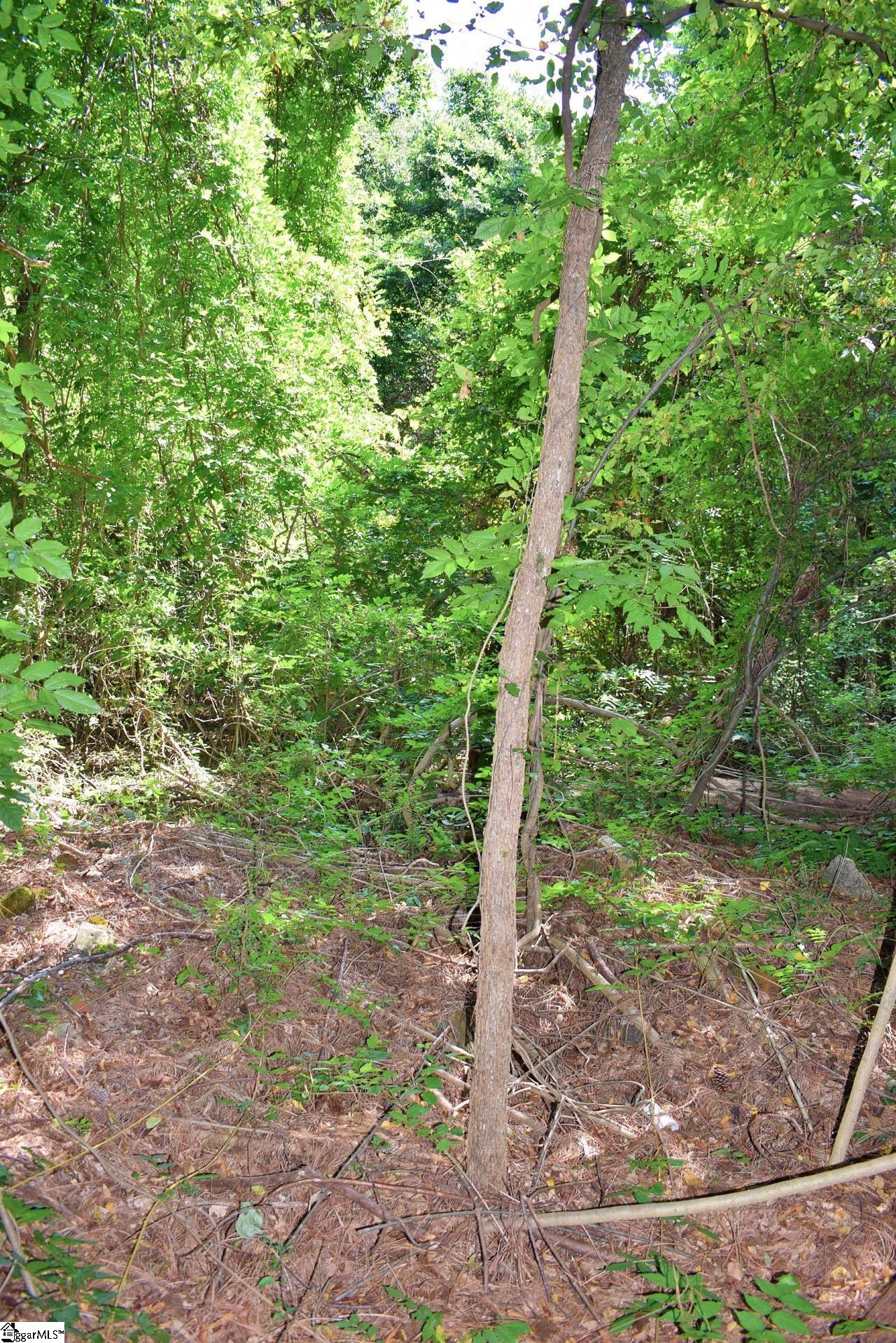 0 Hammett Grove Road Spartanburg, SC 29307 - Photo 5 of 15