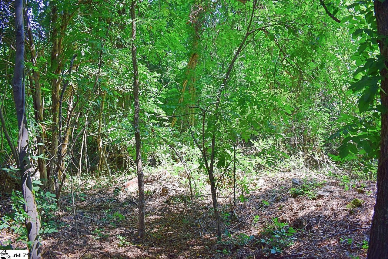 0 Hammett Grove Road Spartanburg, SC 29307 - Photo 6 of 15