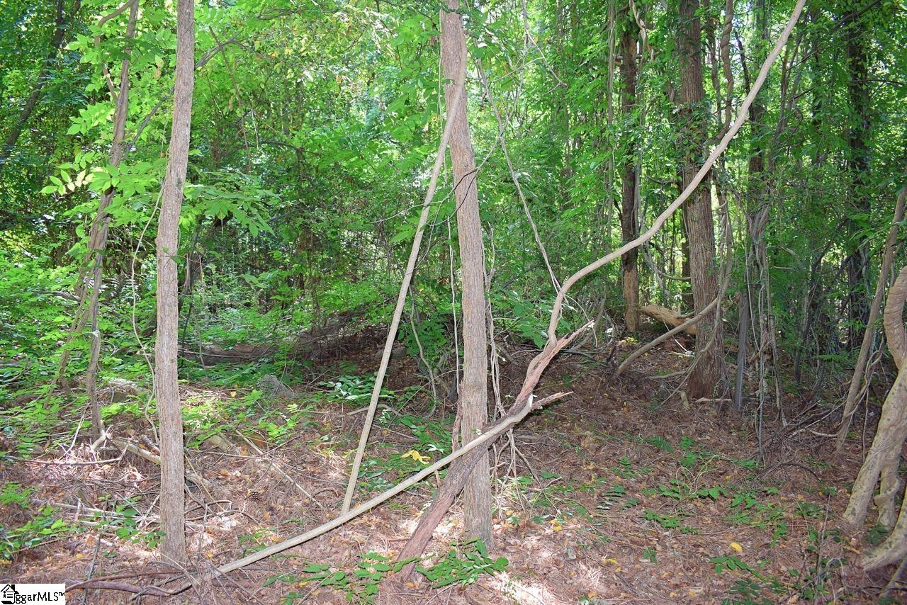 0 Hammett Grove Road Spartanburg, SC 29307 - Photo 7 of 15