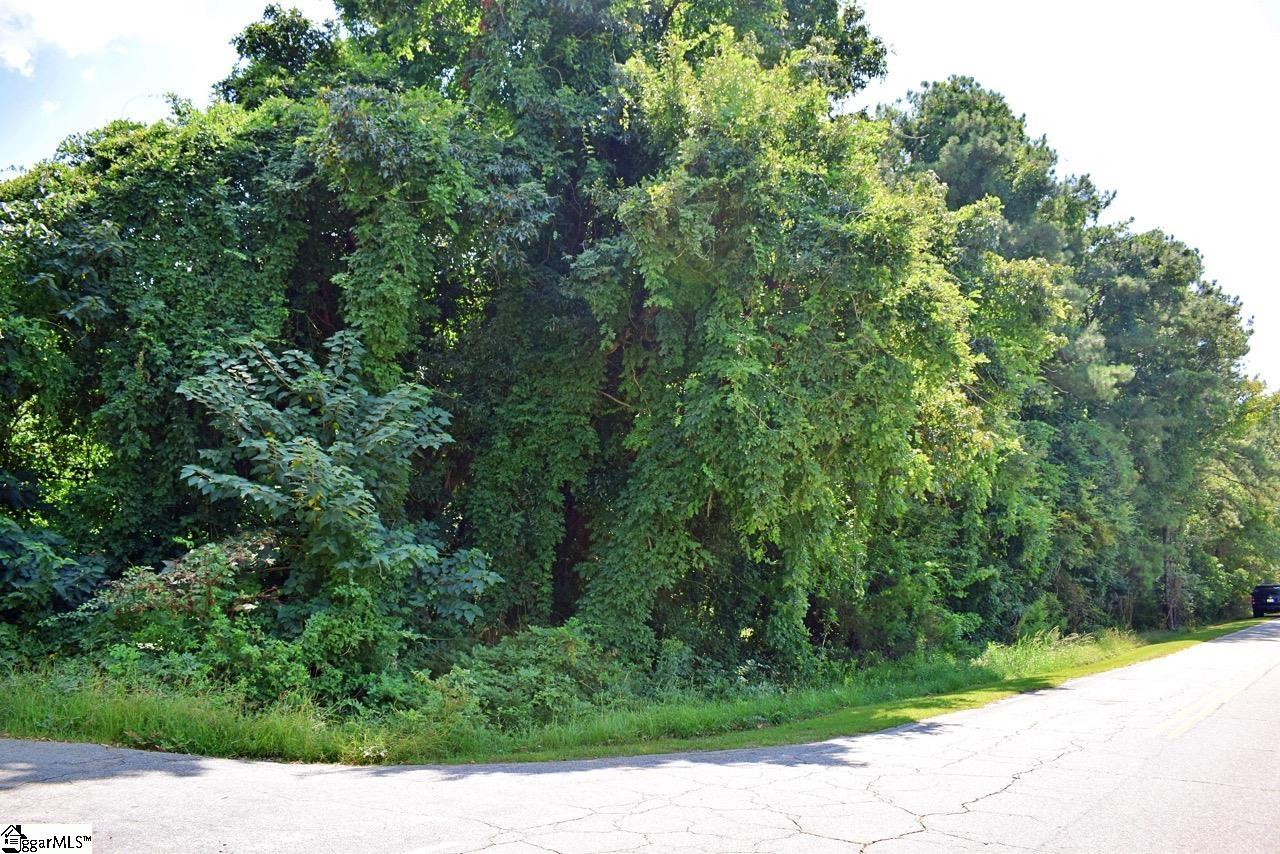 0 Hammett Grove Road Spartanburg, SC 29307 - Photo 8 of 15