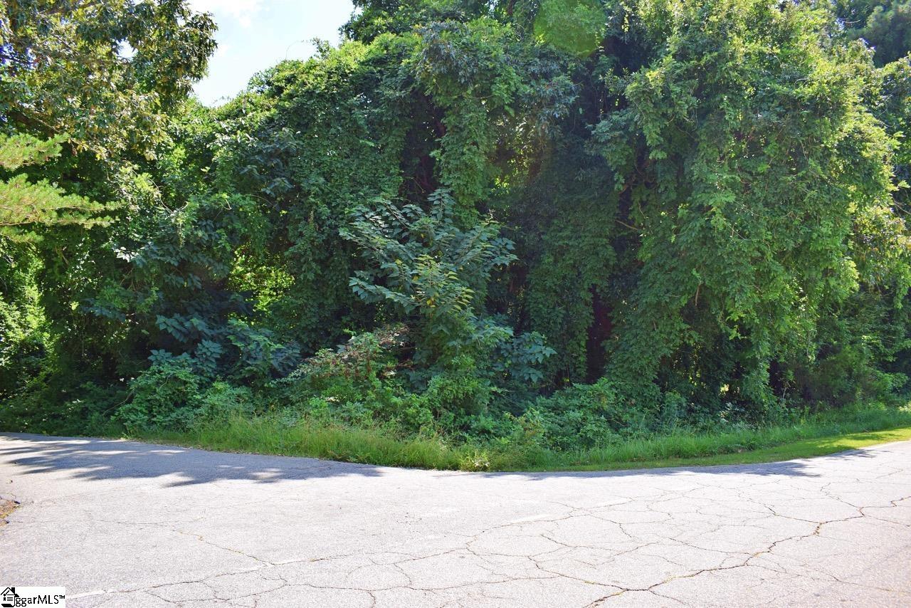 0 Hammett Grove Road Spartanburg, SC 29307 - Photo 9 of 15