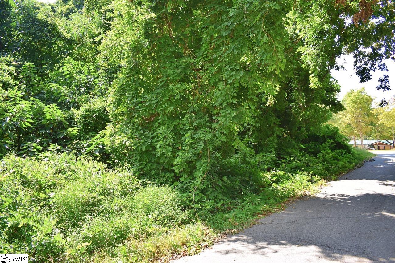 0 Hammett Grove Road Spartanburg, SC 29307 - Photo 10 of 15