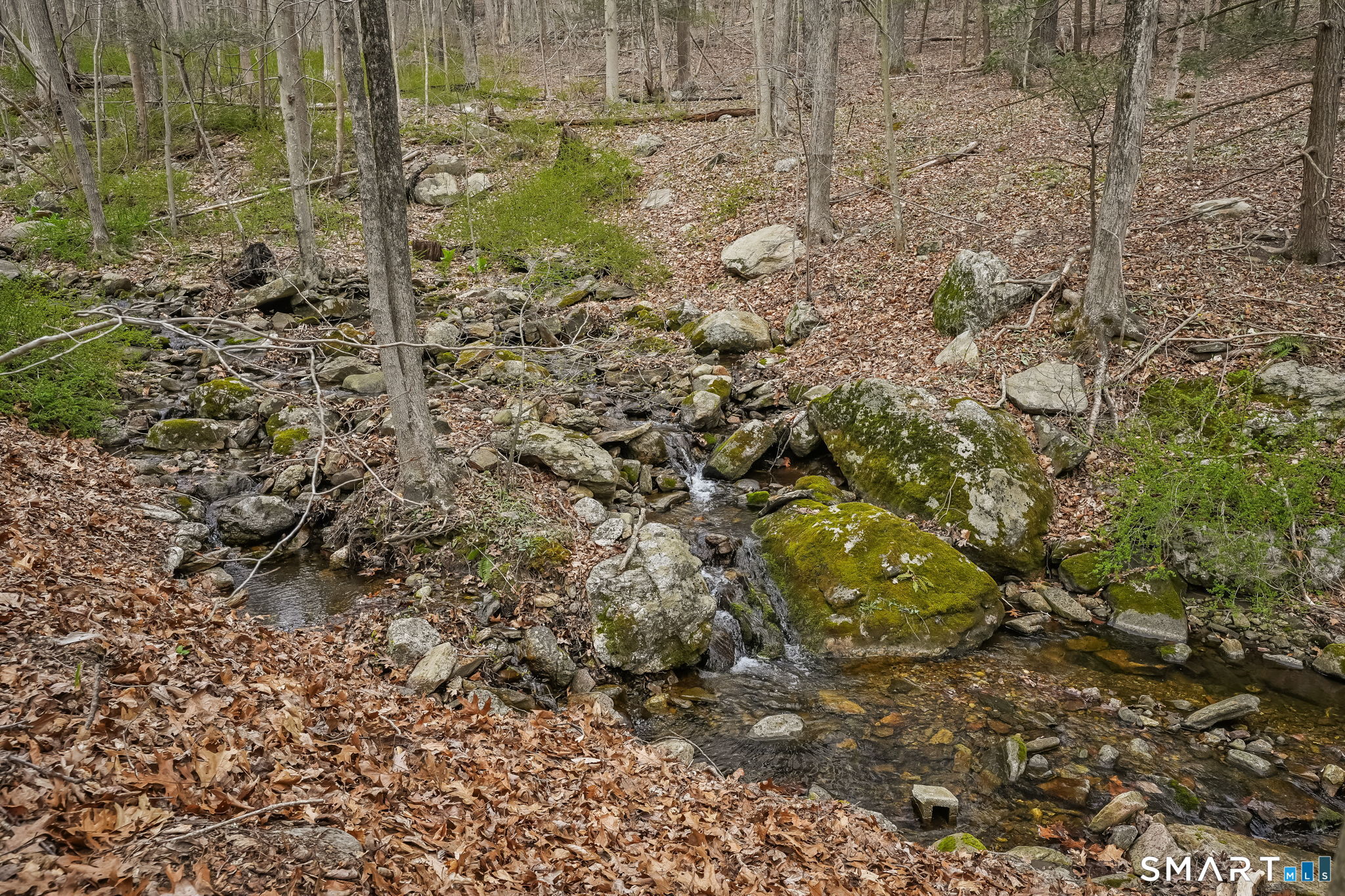 85 Buckingham Road Seymour, CT 06483 - Photo 34 of 40