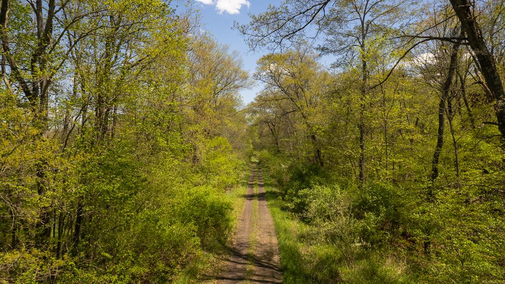 0 Knight Town Road Shippenville, PA 16254 - Photo 4 of 24