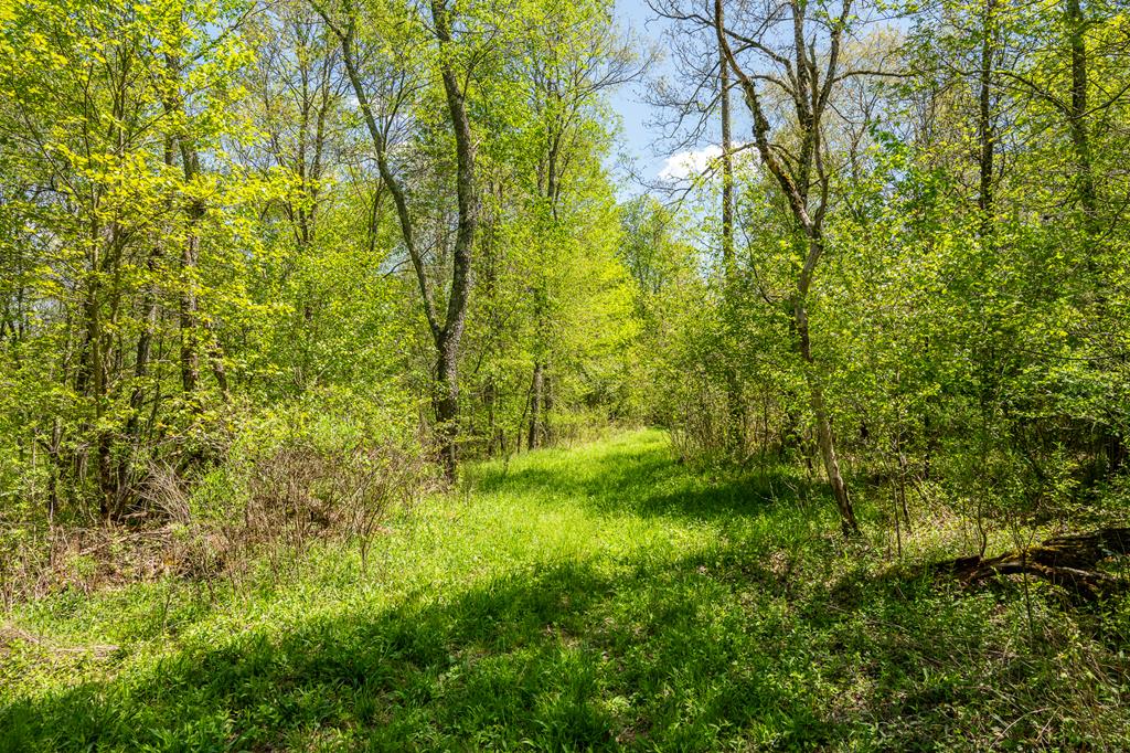 0 Knight Town Road Shippenville, PA 16254 - Photo 5 of 24
