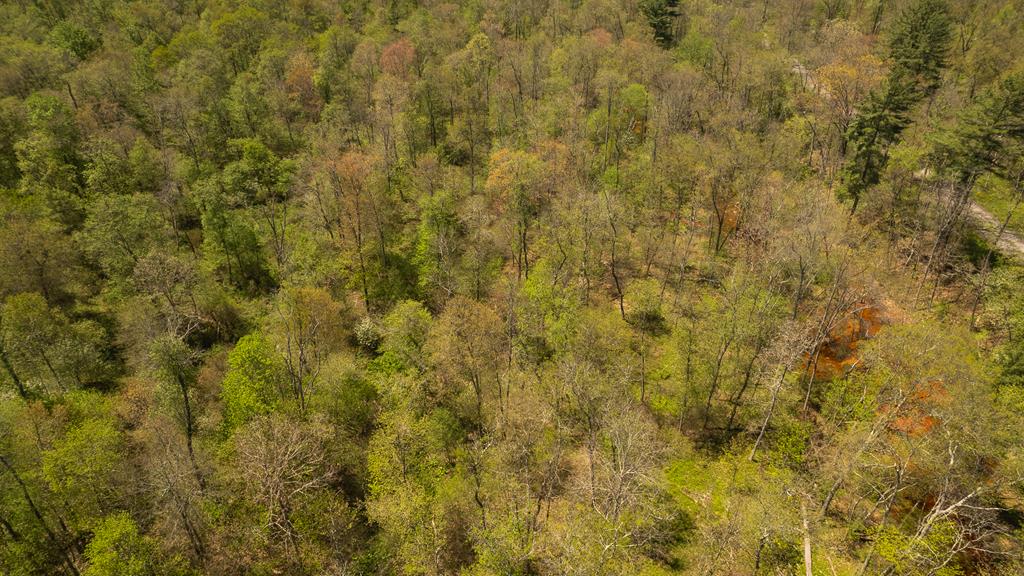 0 Knight Town Road Shippenville, PA 16254 - Photo 9 of 24