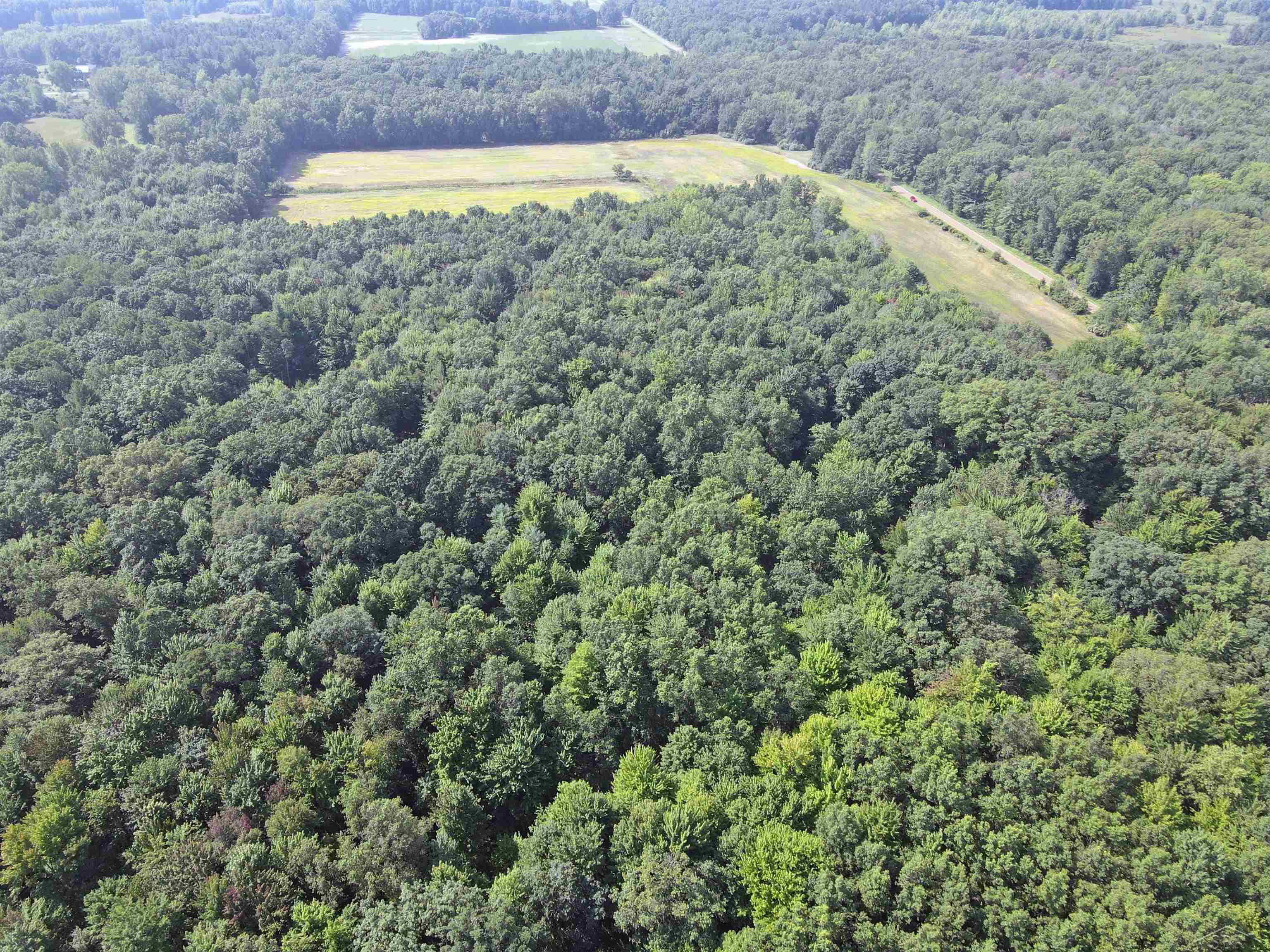 22000 West Burt Road Brant, MI 48614 - Photo 8 of 24