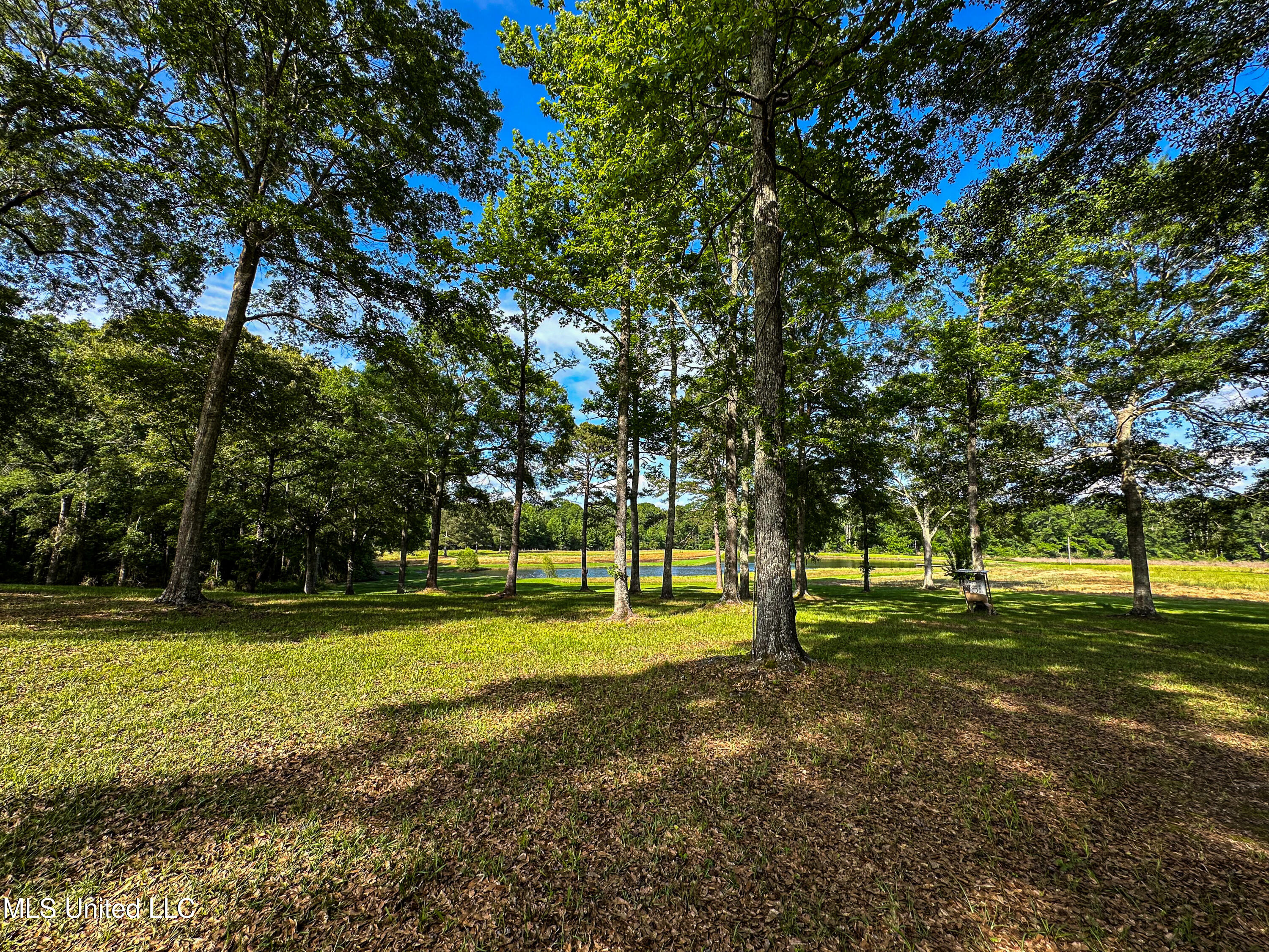 85 Alexander Road Jayess, MS 39641 - Photo 133 of 175 IMG_3932