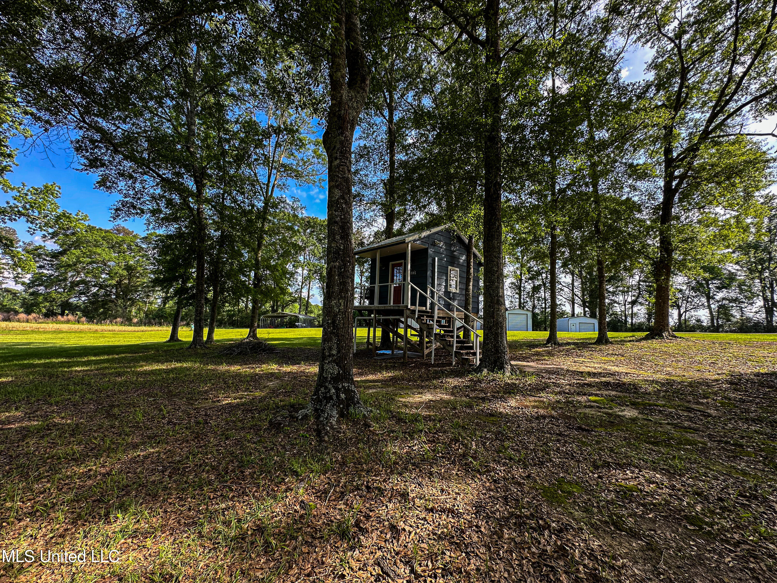 85 Alexander Road Jayess, MS 39641 - Photo 134 of 175 IMG_3933