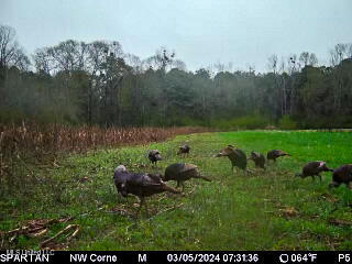 85 Alexander Road Jayess, MS 39641 - Photo 146 of 175 IMG_4260