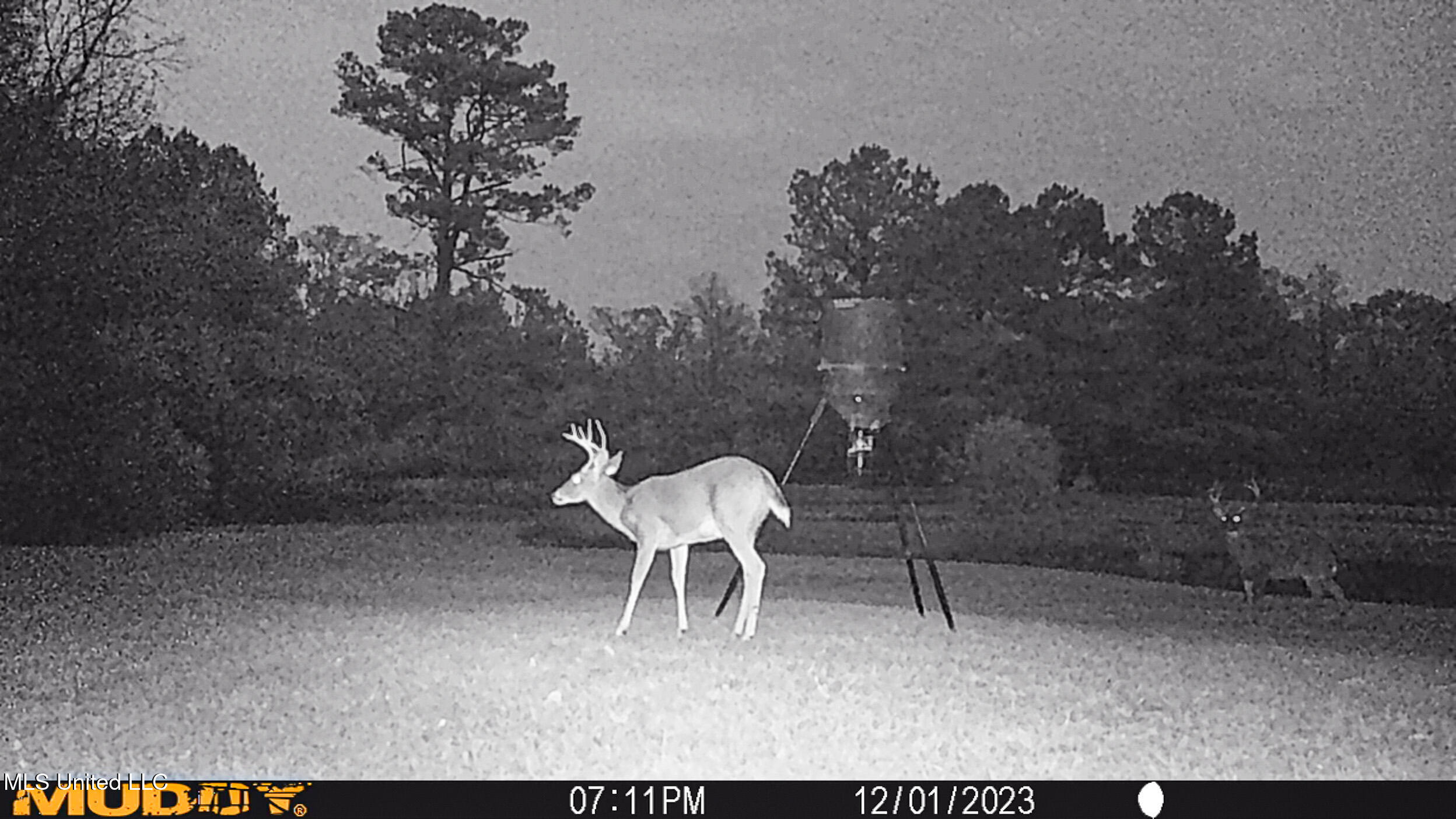 85 Alexander Road Jayess, MS 39641 - Photo 166 of 175 MUD_0027