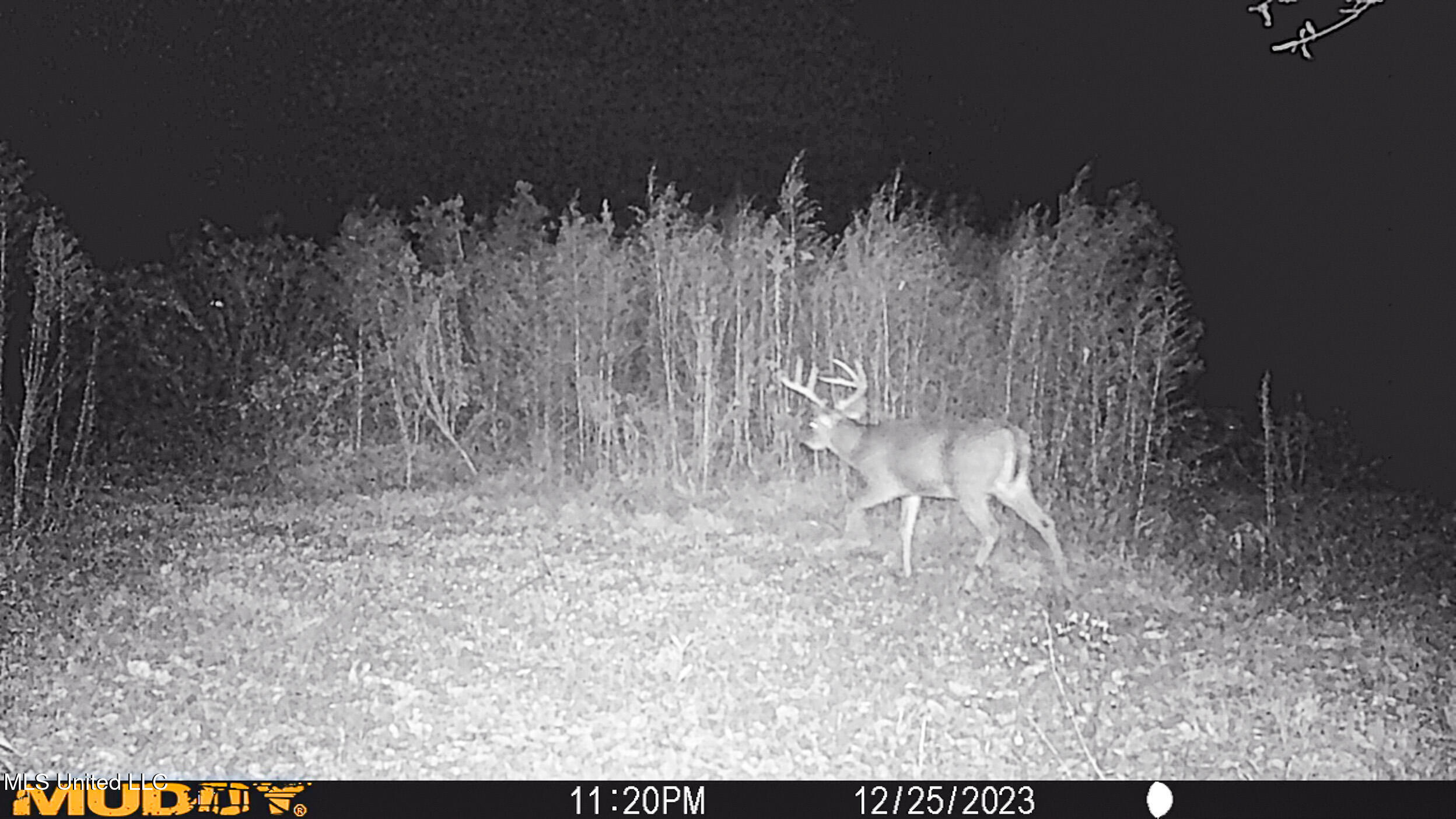 85 Alexander Road Jayess, MS 39641 - Photo 167 of 175 MUD_0096