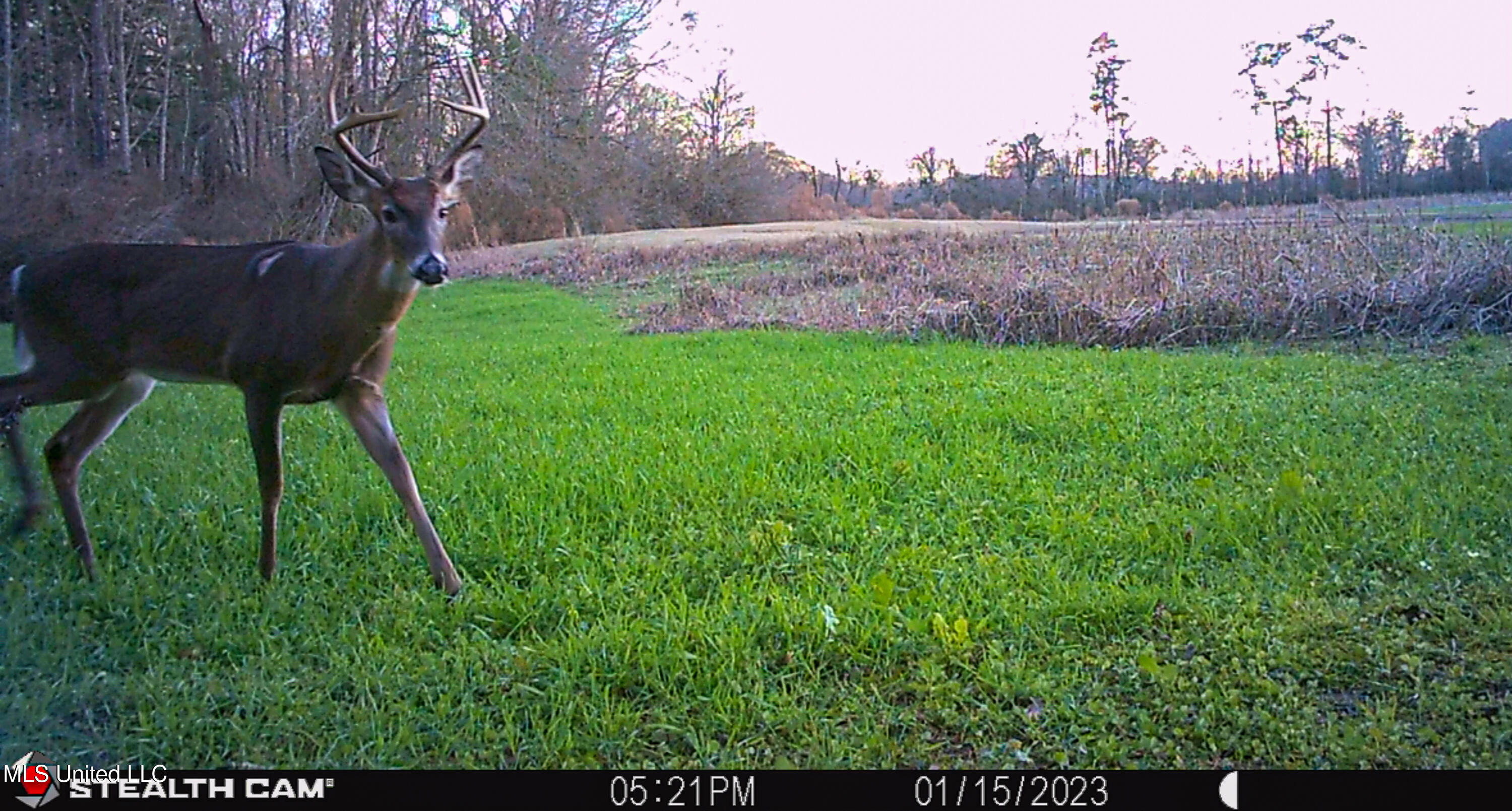 85 Alexander Road Jayess, MS 39641 - Photo 168 of 175 STC_0448