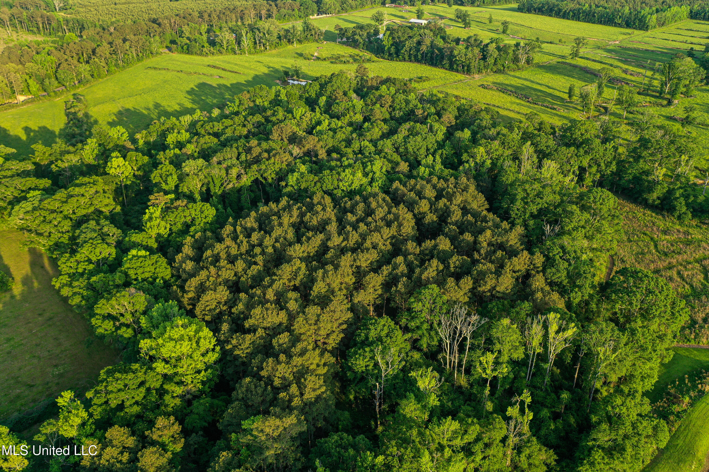 85 Alexander Road Jayess, MS 39641 - Photo 20 of 175 DJI_0146