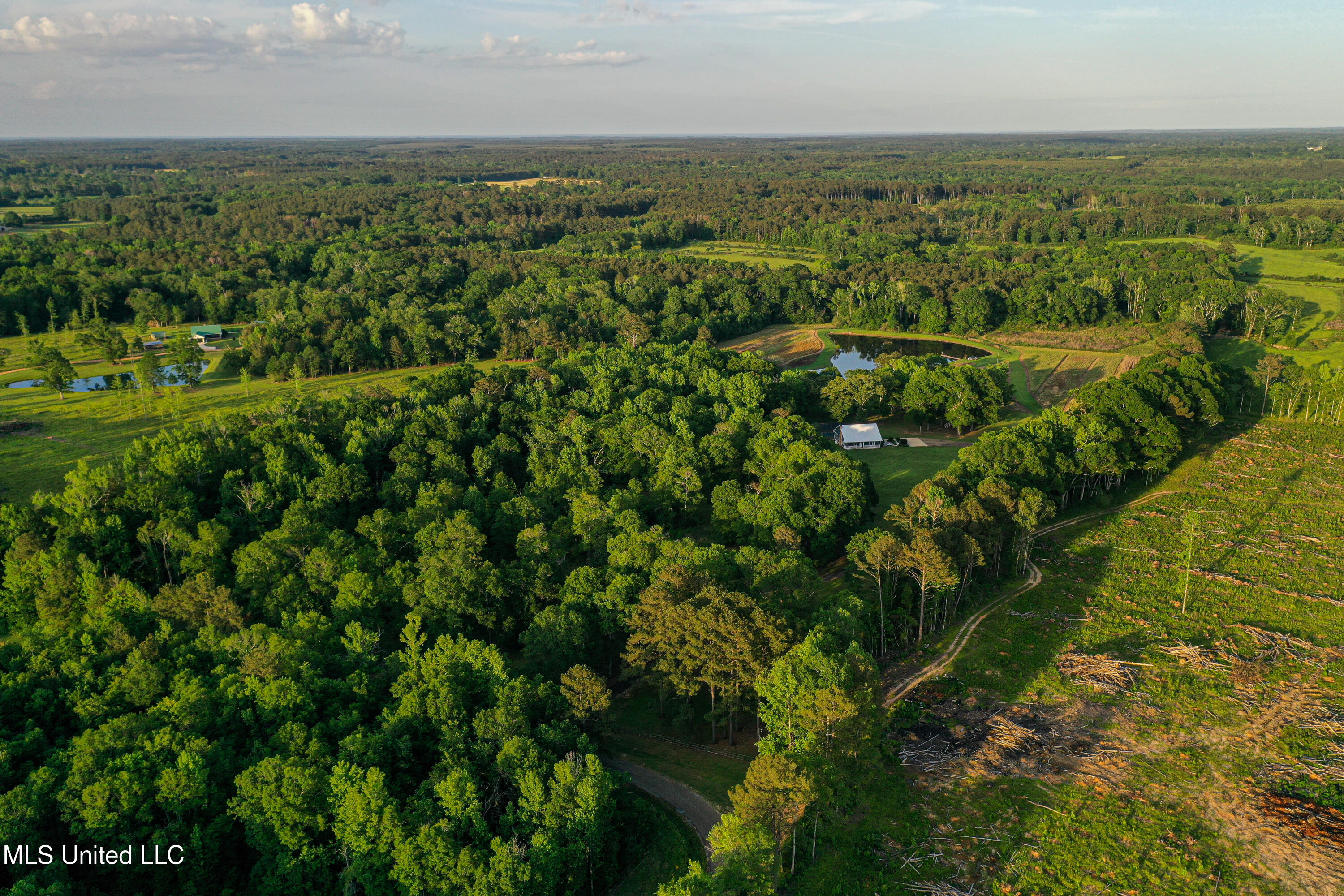 85 Alexander Road Jayess, MS 39641 - Photo 22 of 175 DJI_0144