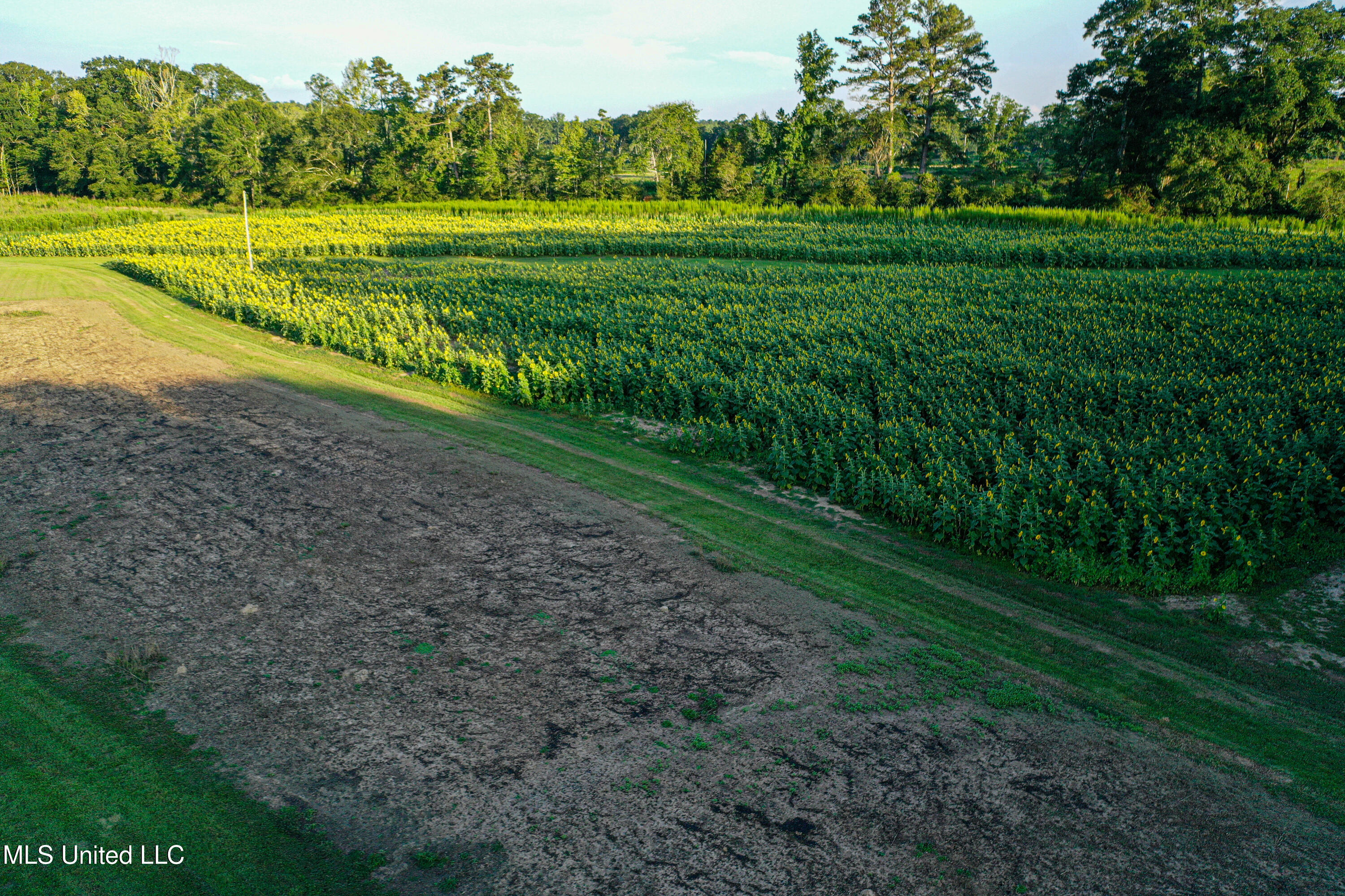 85 Alexander Road Jayess, MS 39641 - Photo 25 of 175 DJI_0824