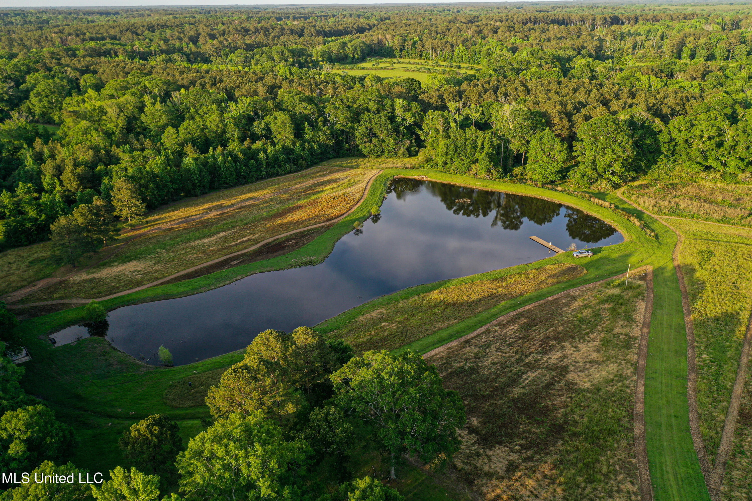 85 Alexander Road Jayess, MS 39641 - Photo 3 of 175 DJI_0140