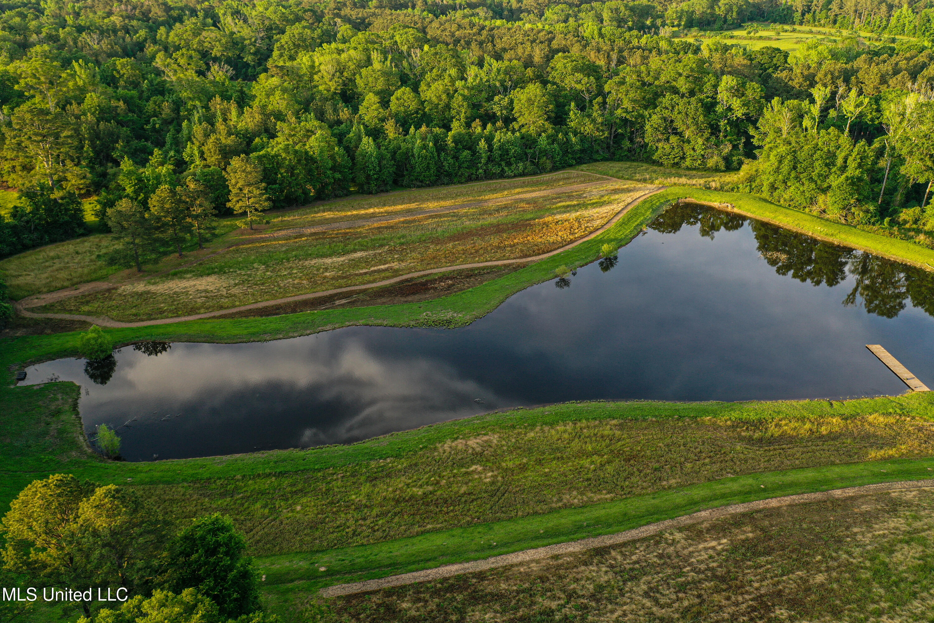 85 Alexander Road Jayess, MS 39641 - Photo 32 of 175 DJI_0150