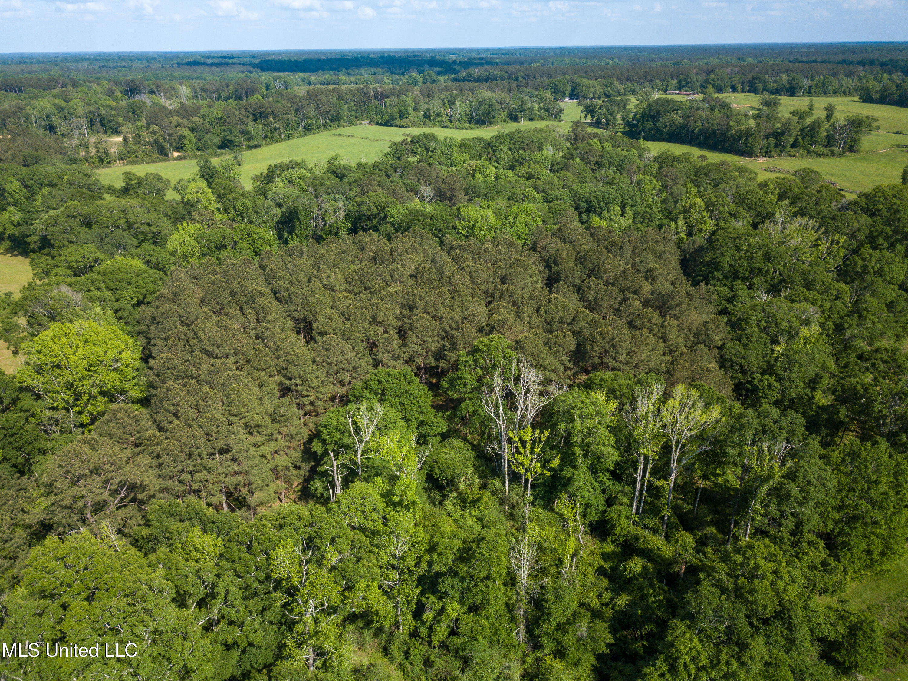 85 Alexander Road Jayess, MS 39641 - Photo 41 of 175 DJI_0542